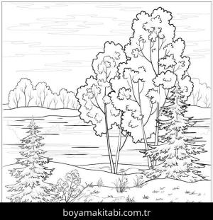 Orman boyama sayfası – çocuk aktivitesi, PDF indir