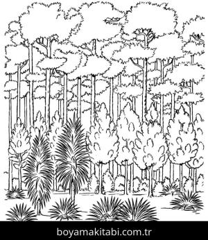 Orman boyama sayfası – PDF indir, sevimli karakter