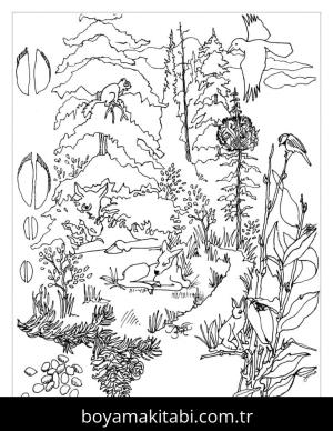 Orman boyama sayfası – ücretsiz yazdır, boyama etkinliği