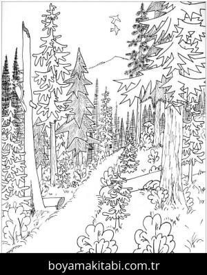 Orman boyama sayfası – ücretsiz yazdır, boyama etkinliği