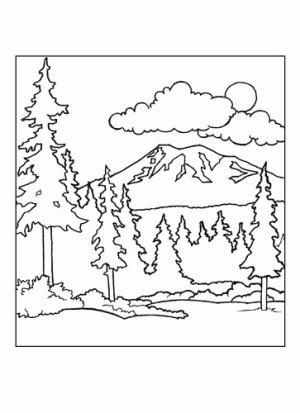 Orman boyama sayfası,  coloring page, karışık kozalaklı ağaç ormanı, 