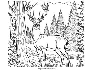 Orman boyama sayfası – yaratıcılığı geliştirir, keyifli zaman