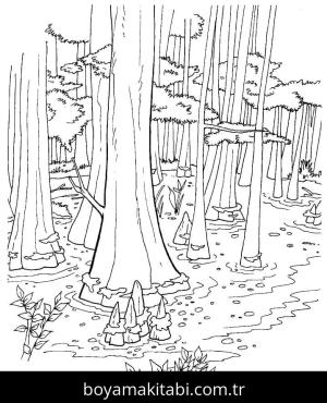 Orman boyama sayfası – keyifli zaman, renkli çizimler