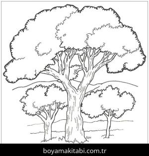 Orman boyama sayfası – keyifli zaman, renkli çizimler