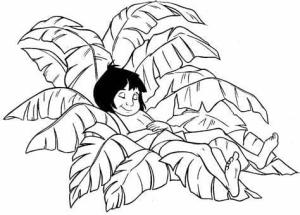 Ormanın Kitabı boyama sayfası,  coloring page, Ücretsiz Orman Kitabı Anahat, 