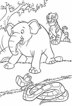 Ormanın Kitabı boyama sayfası,  coloring page, Orman Resminin Ücretsiz Baskı Kitabı, 