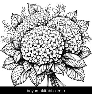 Ortanca Çiçekleri boyama sayfası,  coloring page, , 