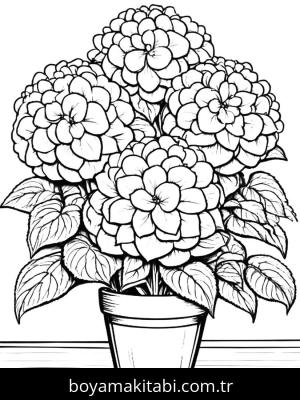 Ortanca Çiçekleri boyama sayfası,  coloring page, , 
