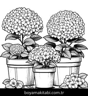 Ortanca Çiçekleri boyama sayfası,  coloring page, , 