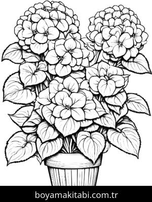 Ortanca Çiçekleri boyama sayfası,  coloring page, , 