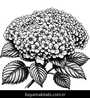 Ortanca Çiçekleri boyama sayfası,  coloring page, , 