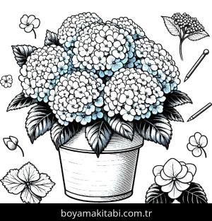 Ortanca Çiçekleri boyama sayfası,  coloring page, , 