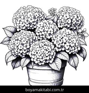 Ortanca Çiçekleri boyama sayfası,  coloring page, , 