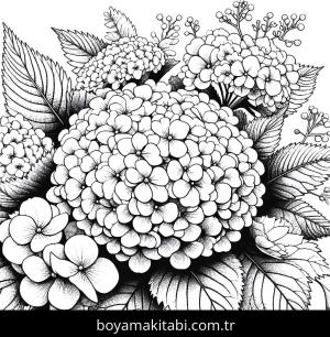 Ortanca Çiçekleri boyama sayfası,  coloring page, , 