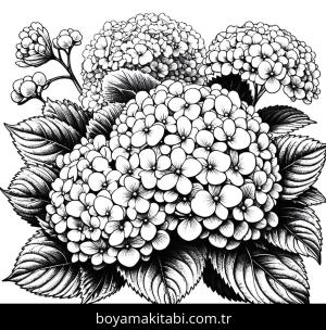 Ortanca Çiçekleri boyama sayfası,  coloring page, , 