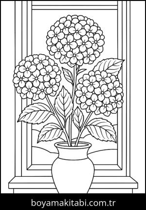 Ortanca Çiçekleri boyama sayfası,  coloring page, , 