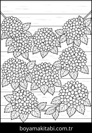 Ortanca Çiçekleri boyama sayfası,  coloring page, , 