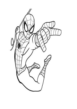 Örümcek Adam boyama sayfası, Spiderman coloring page, , 