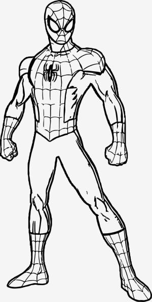 Örümcek Adam boyama sayfası, Spiderman coloring page, Normal örümcek Adam, 