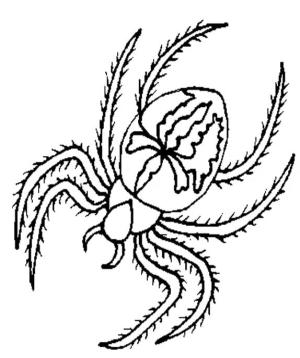 Örümcek boyama sayfası,  coloring page, Hoş Örümcek, 