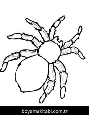 Örümcek boyama sayfası – boyama etkinliği, çocuk aktivitesi