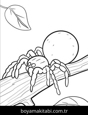 Örümcek boyama sayfası – eğlenceli etkinlik, el becerilerini geliştirir
