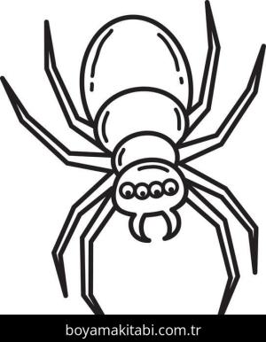Örümcek boyama sayfası – keyifli zaman, renkli çizimler