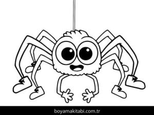 Örümcek boyama sayfası – kolay boyama, eğitici aktivite