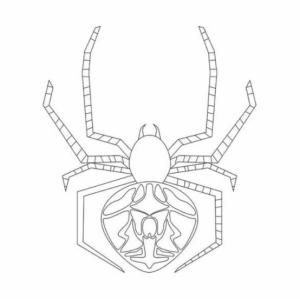 Örümcek boyama sayfası,  coloring page, Jumping Spider, 