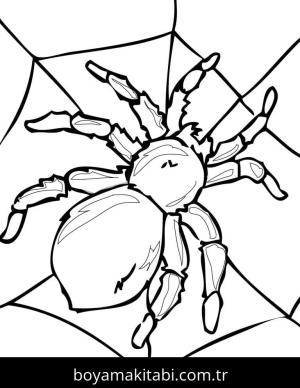 Örümcek boyama sayfası – çocuk aktivitesi, PDF indir
