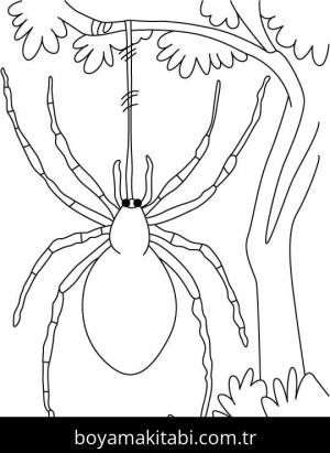 Örümcek boyama sayfası – eğlenceli etkinlik, el becerilerini geliştirir