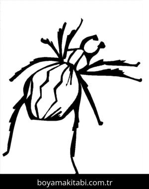 Örümcek boyama sayfası – sanatsal çalışma, çocuklar için