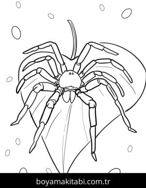 Örümcek boyama sayfası – PDF indir, sevimli karakter