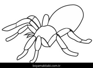 Örümcek boyama sayfası – çocuklar için, çizgi film temalı