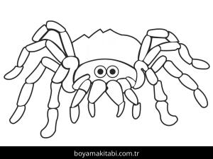 Örümcek boyama sayfası – eğlenceli etkinlik, el becerilerini geliştirir