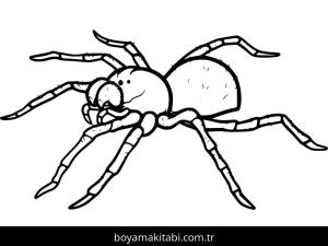 Örümcek boyama sayfası – yaratıcılığı geliştirir, keyifli zaman
