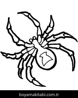 Örümcek boyama sayfası – renkli çizimler, okul öncesi