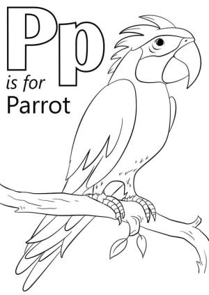 P Harfi boyama sayfası,  coloring page, Papağan Harf P, 