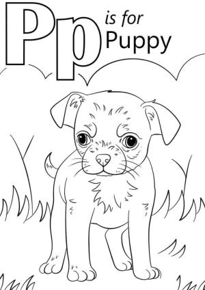 P Harfi boyama sayfası,  coloring page, Köpek Yavrusu Harf p, 