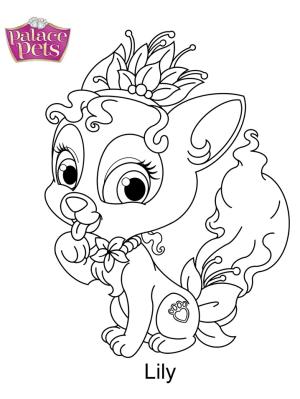 Palace Pets boyama sayfası,  coloring page, Saray Evcil Hayvanları Lily, 