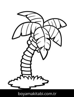 Palmiye Ağacı boyama sayfası – eğitici aktivite, yaratıcılık