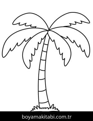 Palmiye Ağacı boyama sayfası – yaratıcılığı geliştirir, keyifli zaman