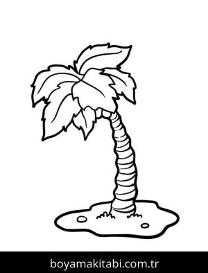 Palmiye Ağacı boyama sayfası – keyifli zaman, renkli çizimler