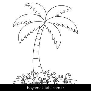 Palmiye Ağacı boyama sayfası – boyama etkinliği, çocuk aktivitesi