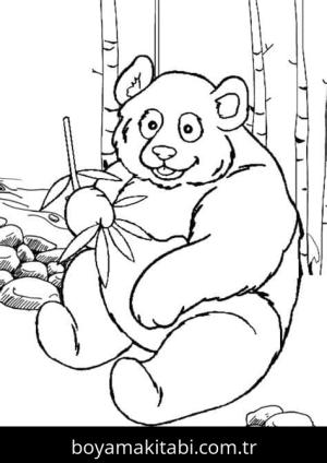 Panda boyama sayfası – kolay boyama, eğitici aktivite