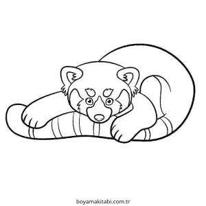 Panda boyama sayfası – sevimli karakter, sanatsal çalışma