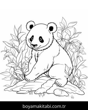 Panda boyama sayfası – yaratıcılık, eğlenceli etkinlik
