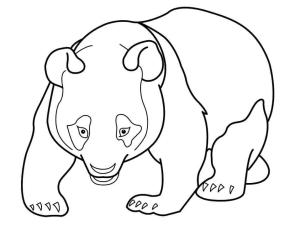 Panda boyama sayfası,  coloring page, Normal Panda, 