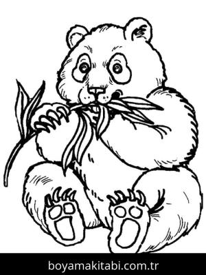 Panda boyama sayfası – yaratıcılık, eğlenceli etkinlik