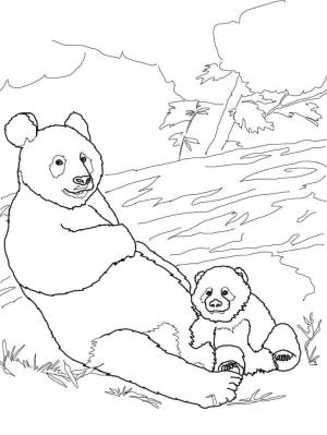 Panda boyama sayfası,  coloring page, Bebek Panda ile Anne, 